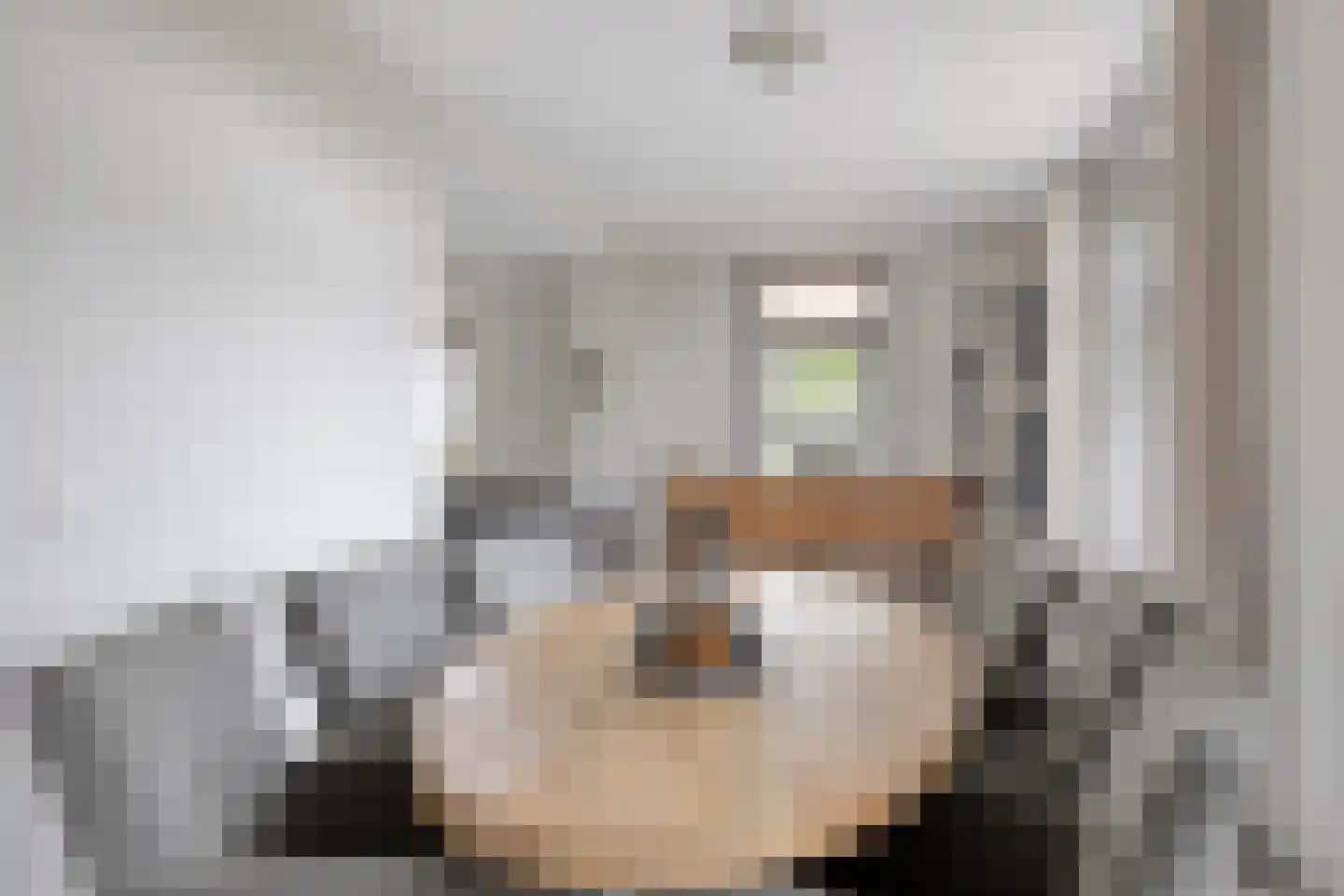 Beuningsestraat 2 Aerdt thumbnail 26