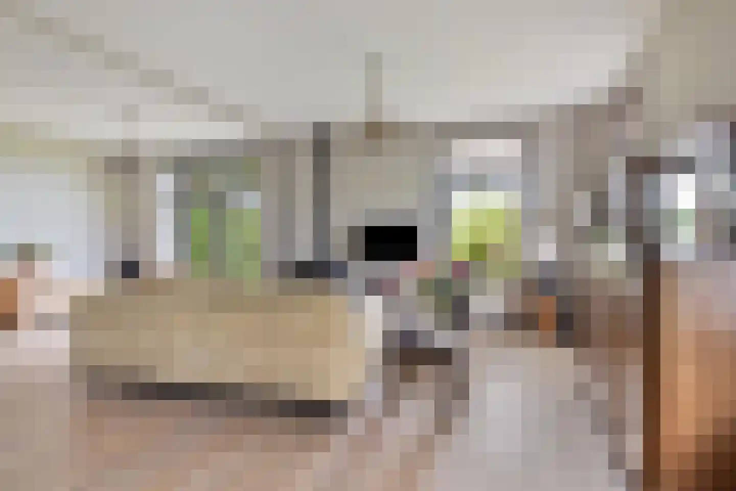Beuningsestraat 2 Aerdt thumbnail 27