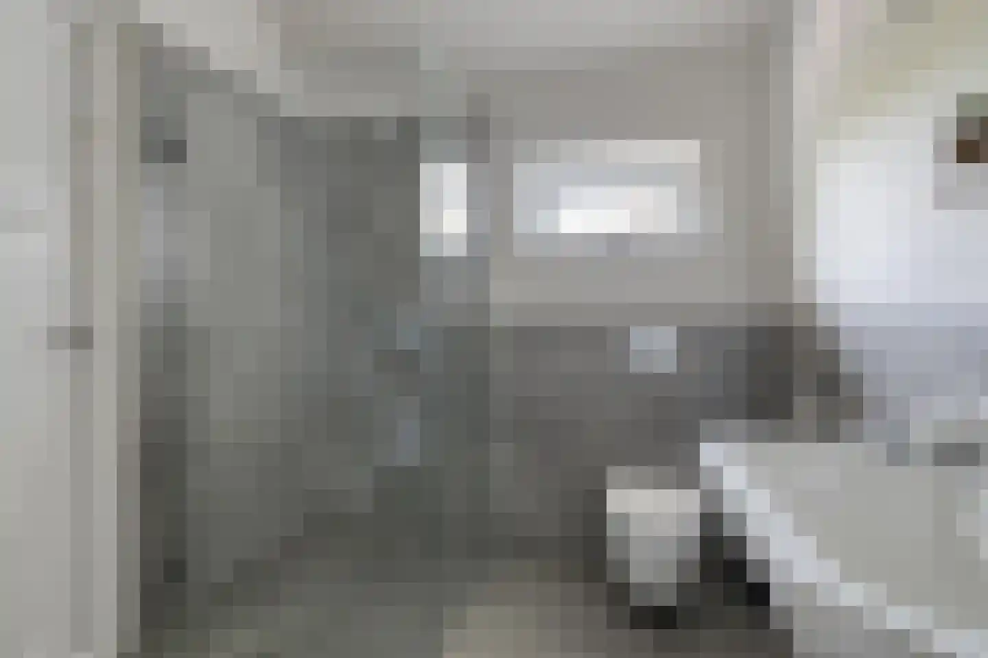 Beuningsestraat 2 Aerdt thumbnail 36