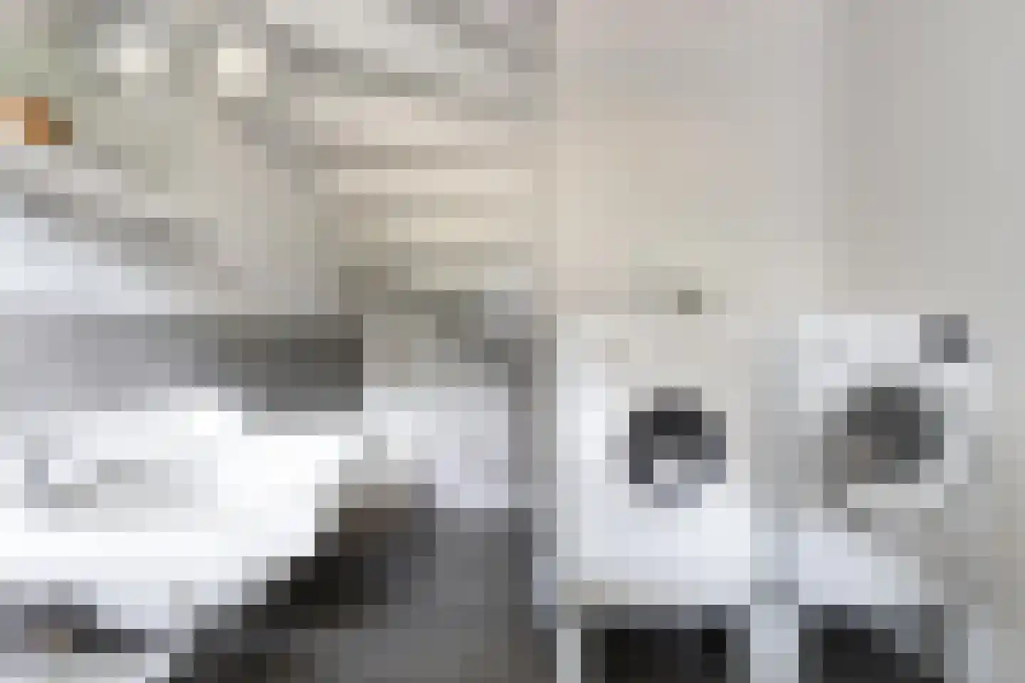 Beuningsestraat 2 Aerdt thumbnail 37