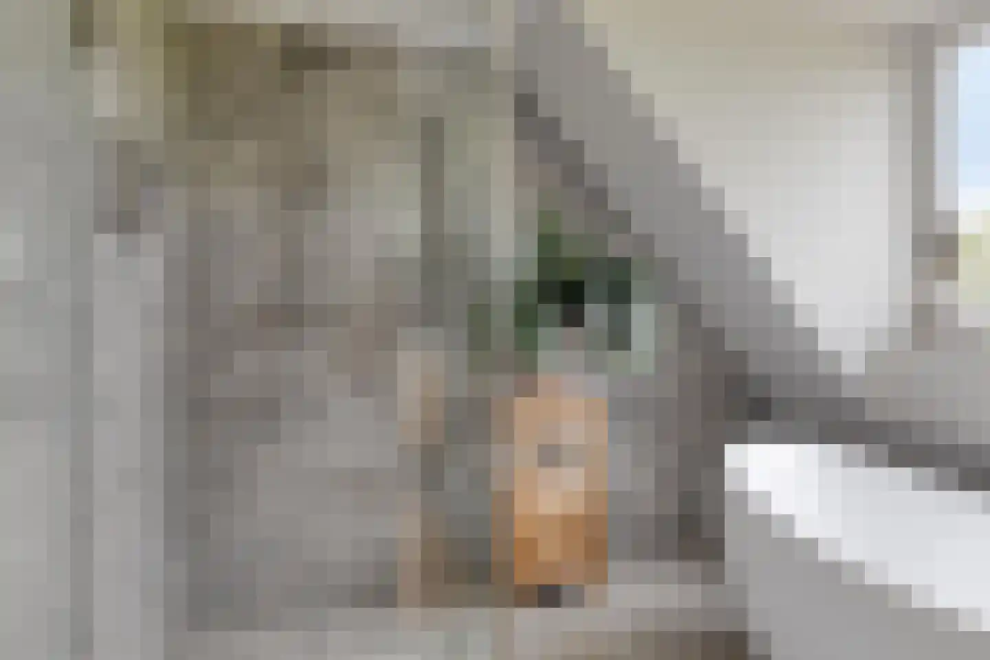 Beuningsestraat 2 Aerdt thumbnail 49