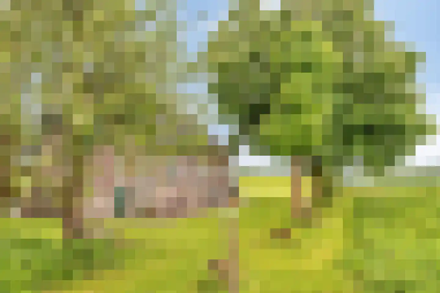 Beuningsestraat 2 Aerdt thumbnail 62