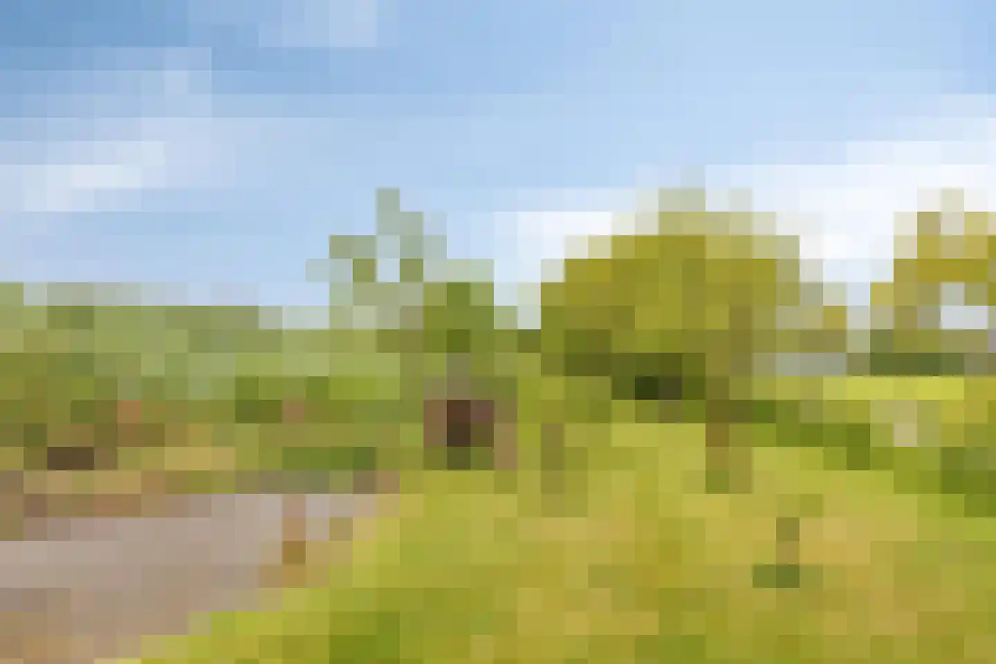 Beuningsestraat 2 Aerdt thumbnail 7