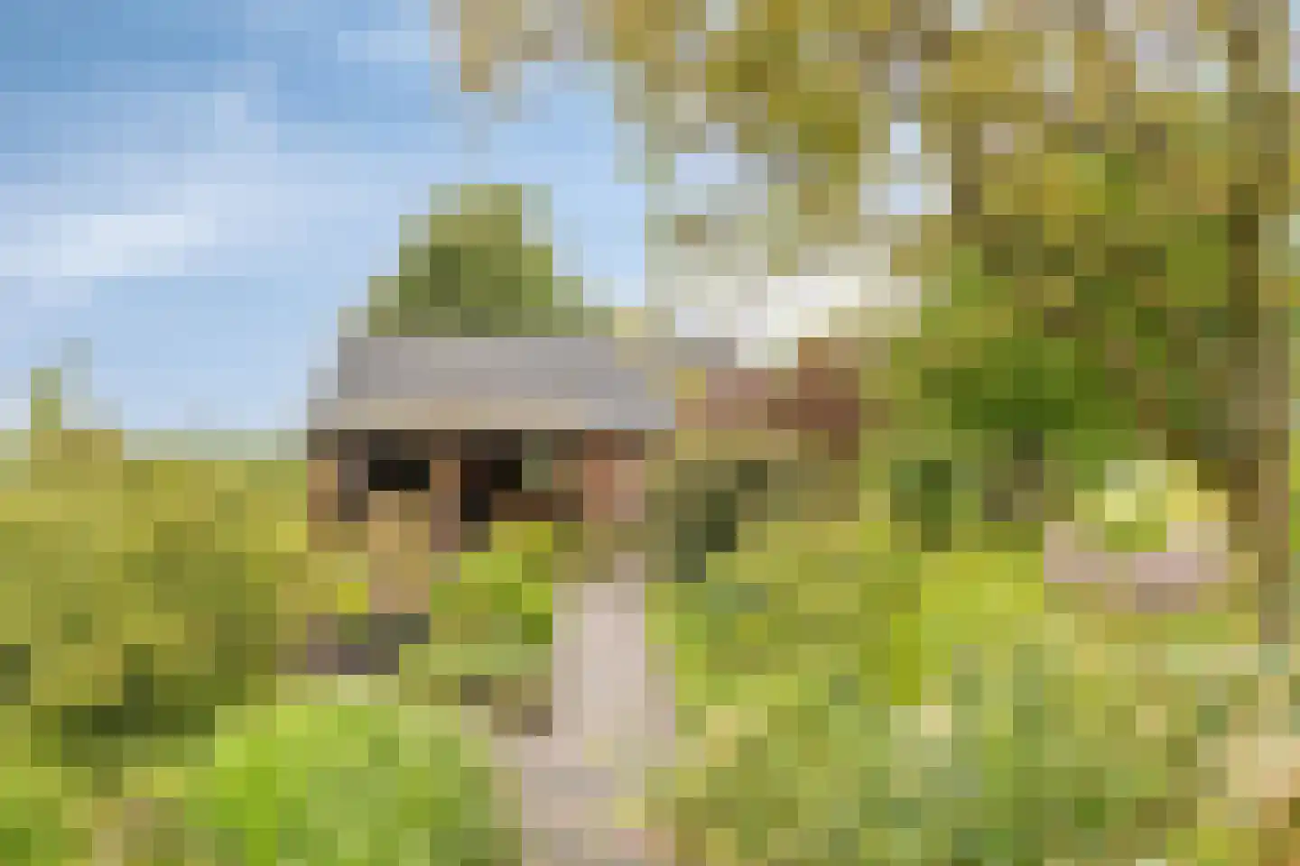 Beuningsestraat 2 Aerdt thumbnail 9
