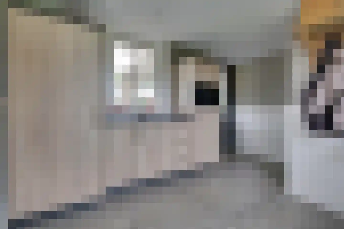 Beuningsestraat 8 Aerdt thumbnail 10
