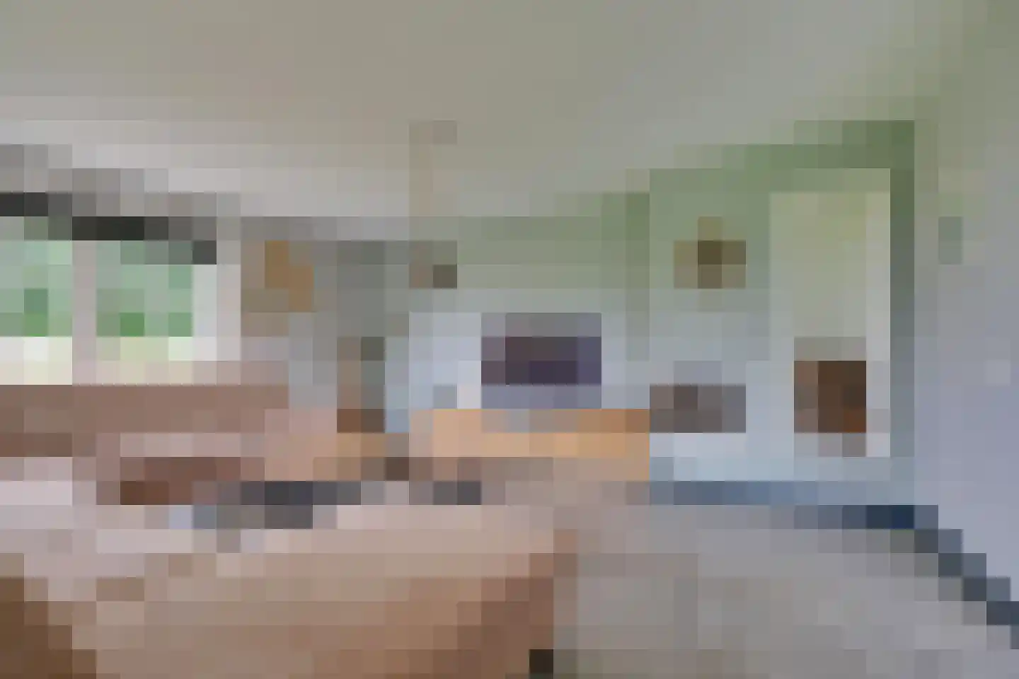 Beuningsestraat 8 Aerdt thumbnail 12
