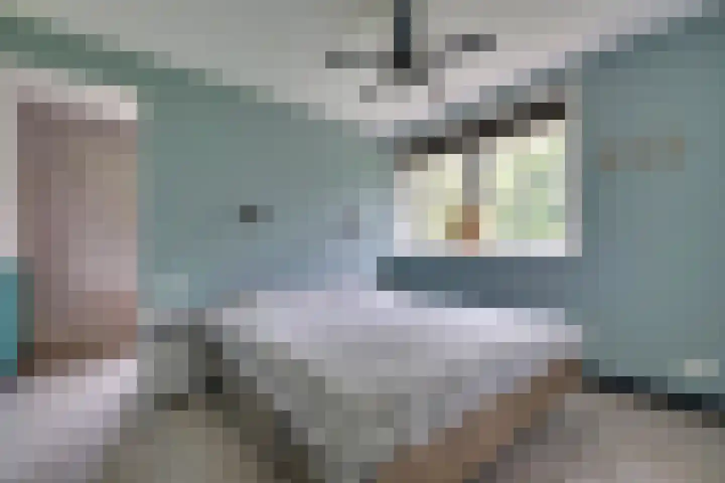 Beuningsestraat 8 Aerdt thumbnail 14