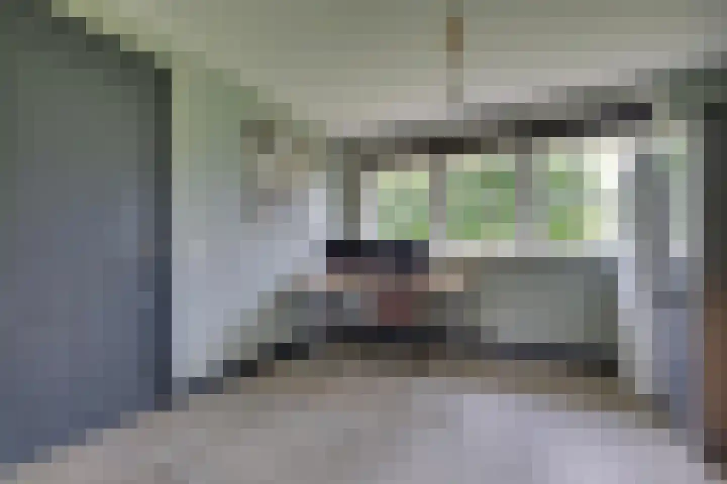 Beuningsestraat 8 Aerdt thumbnail 15