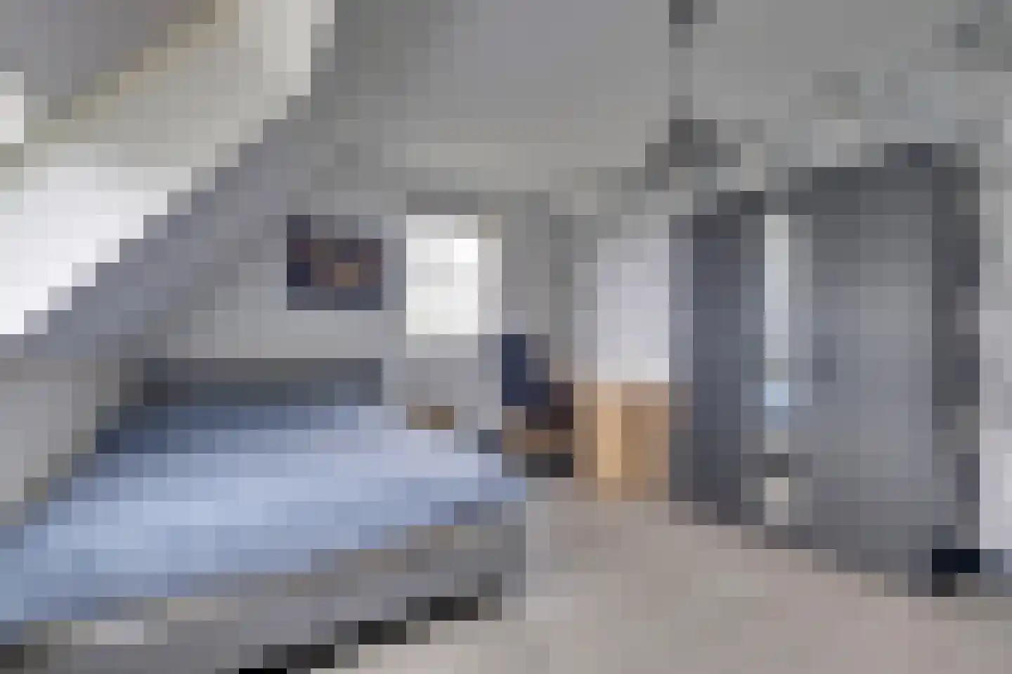 Beuningsestraat 8 Aerdt thumbnail 18