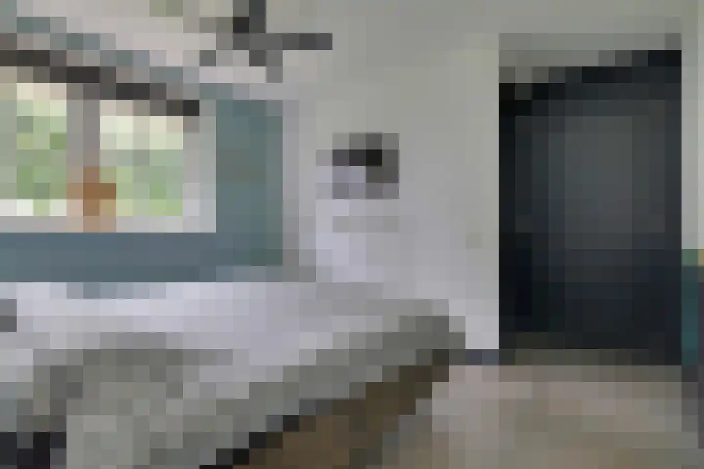 Beuningsestraat 8 Aerdt thumbnail 19