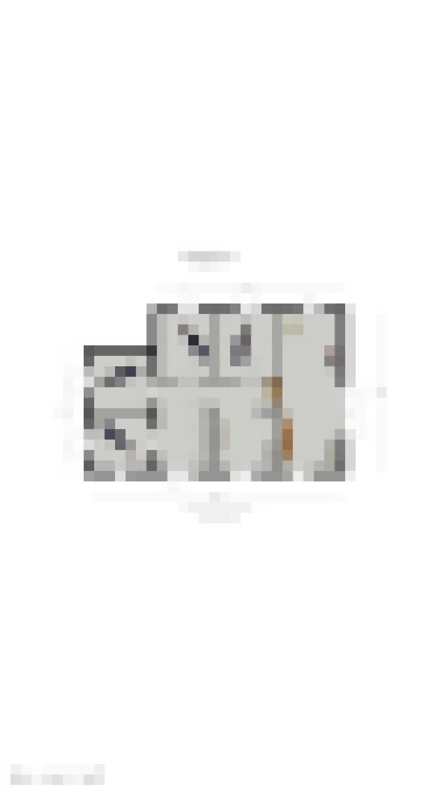 Beuningsestraat 8 Aerdt thumbnail 32