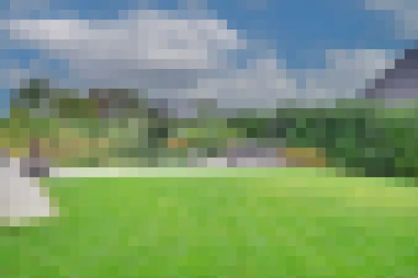 Beuningsestraat 8 Aerdt thumbnail 35