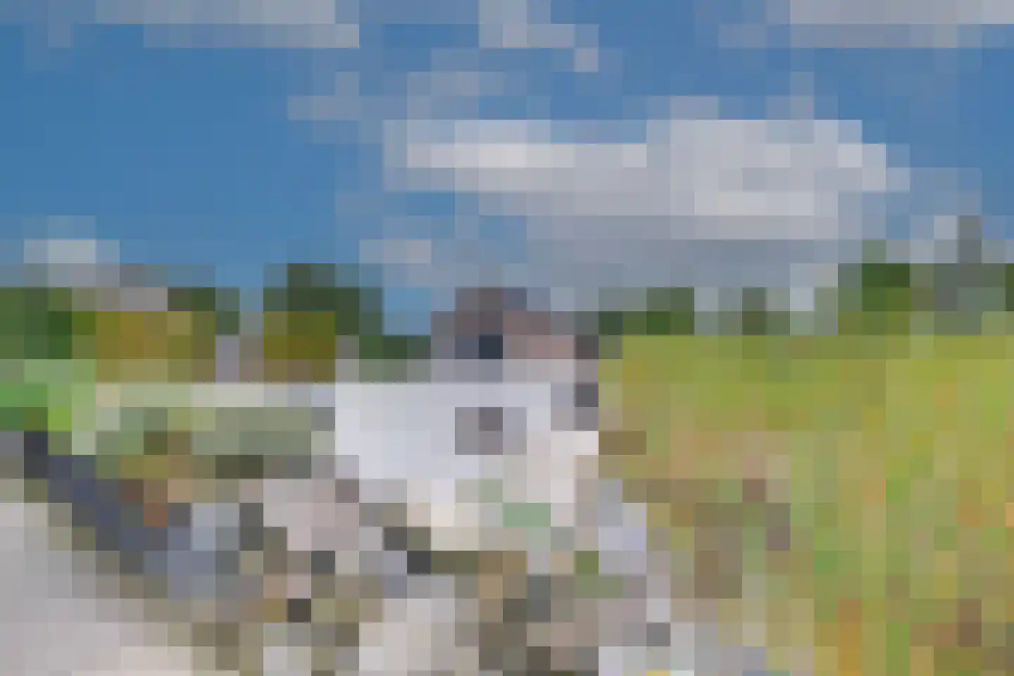 Beuningsestraat 8 Aerdt thumbnail 37