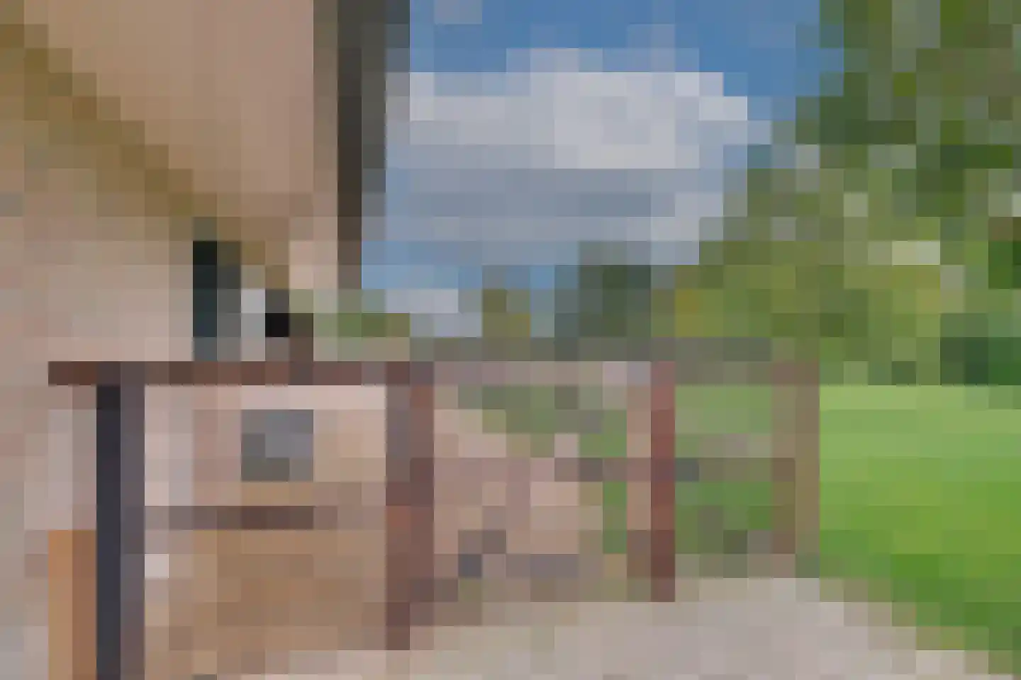 Beuningsestraat 8 Aerdt thumbnail 40