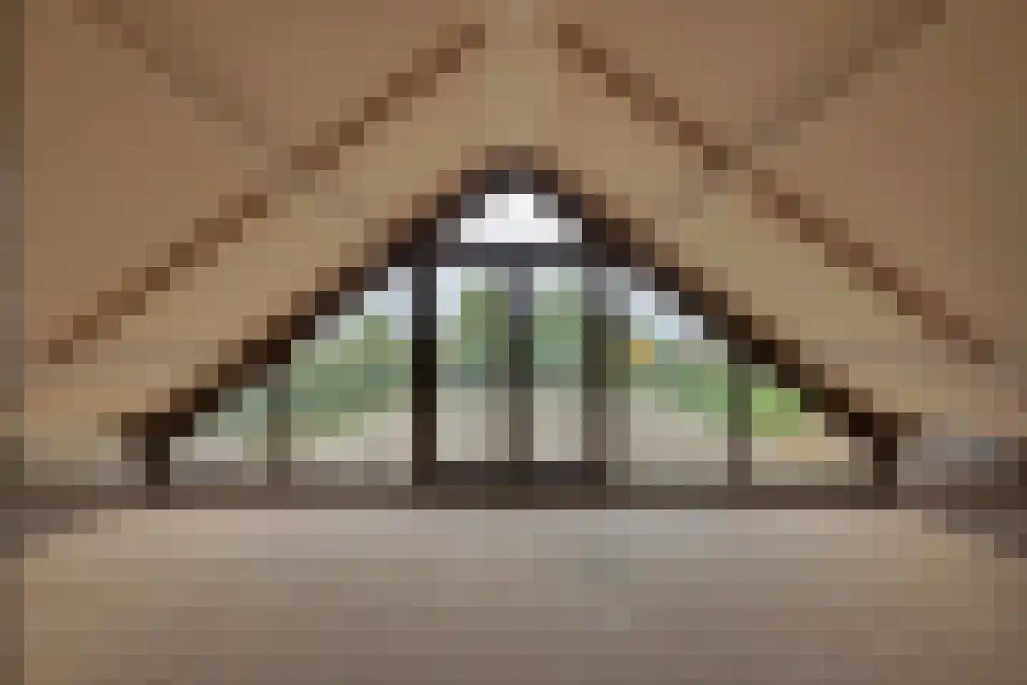 Beuningsestraat 8 Aerdt thumbnail 44