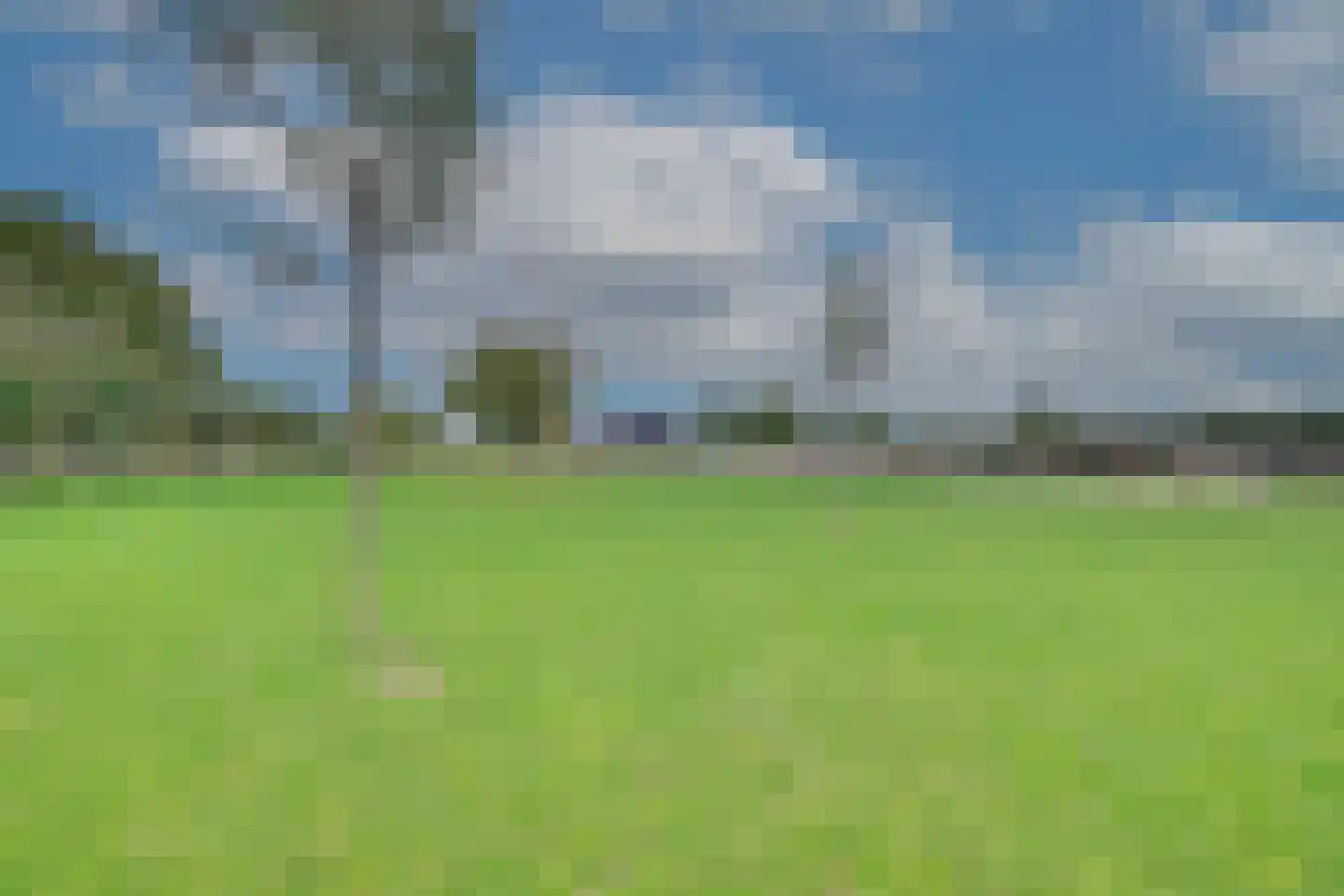 Beuningsestraat 8 Aerdt thumbnail 49