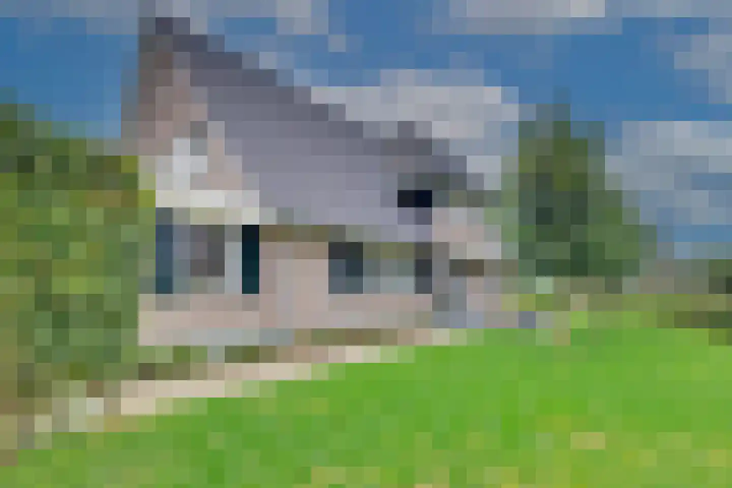 Beuningsestraat 8 Aerdt thumbnail 6