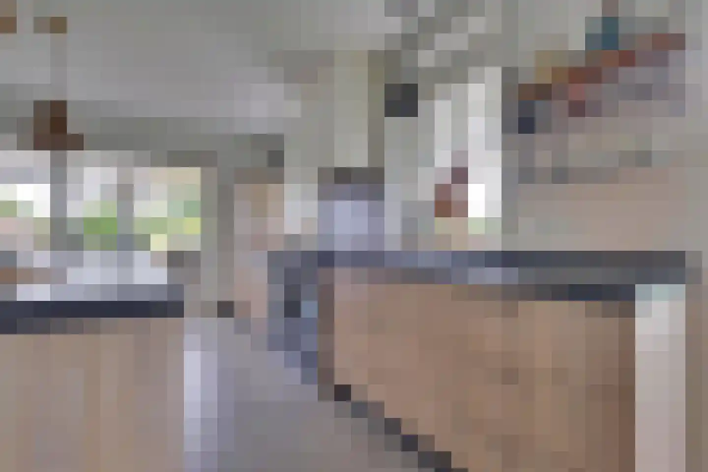 Beuningsestraat 8 Aerdt thumbnail 8