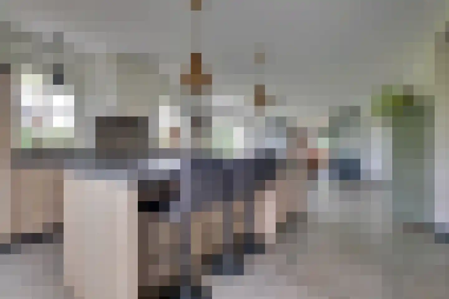 Beuningsestraat 8 Aerdt thumbnail 9