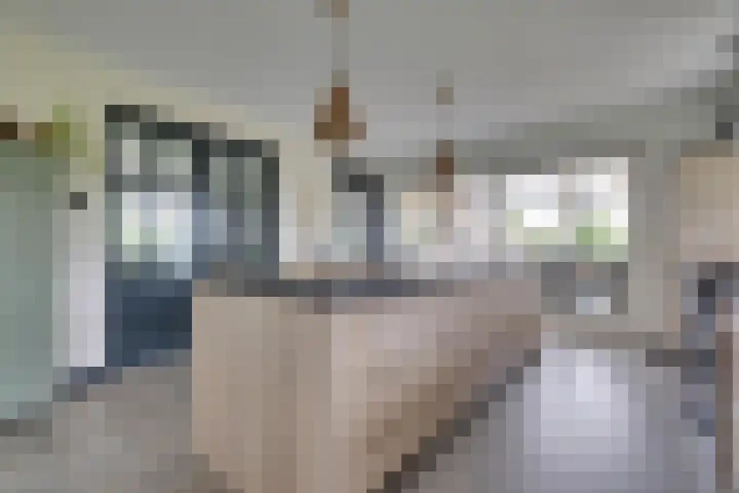 Beuningsestraat 8 Aerdt thumbnail 9