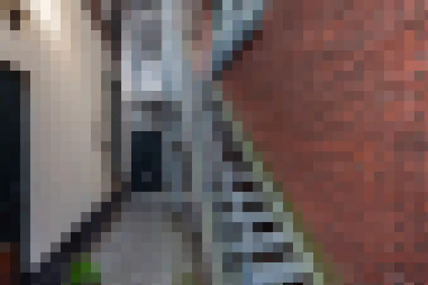 Beuningstraat 7 A Wageningen thumbnail 8