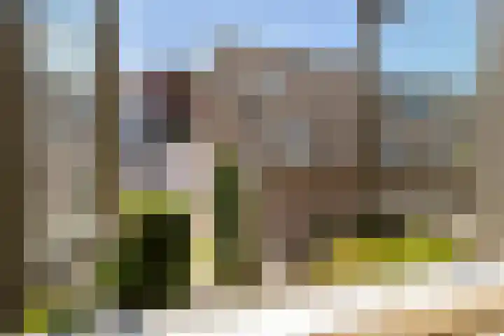 Beurdsepoort 20 B 's-Hertogenbosch thumbnail 26