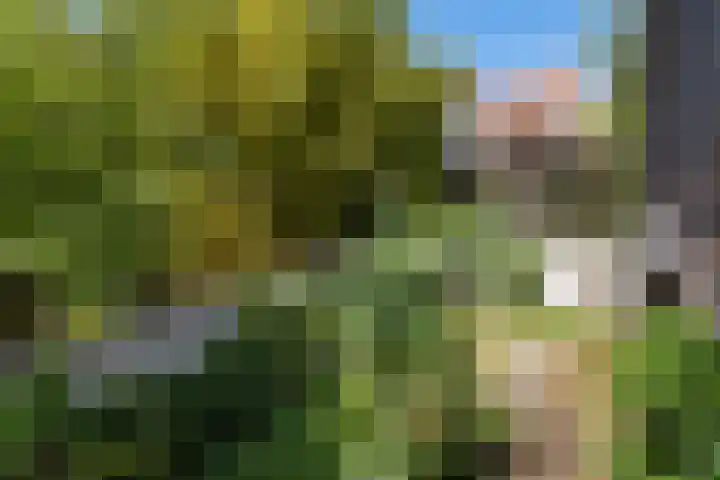 Beurdsepoort 20 B 's-Hertogenbosch thumbnail 35