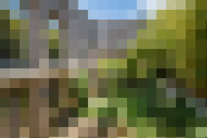 Beurdsepoort 20 B 's-Hertogenbosch thumbnail 37