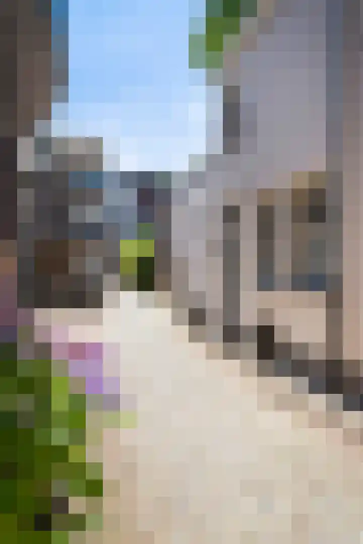 Beurdsepoort 20 B 's-Hertogenbosch thumbnail 42