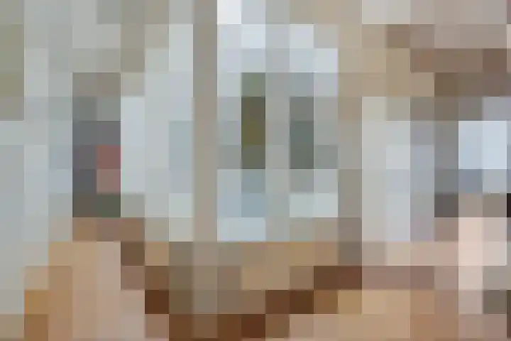Beurdsestraat 2 's-Hertogenbosch thumbnail 21