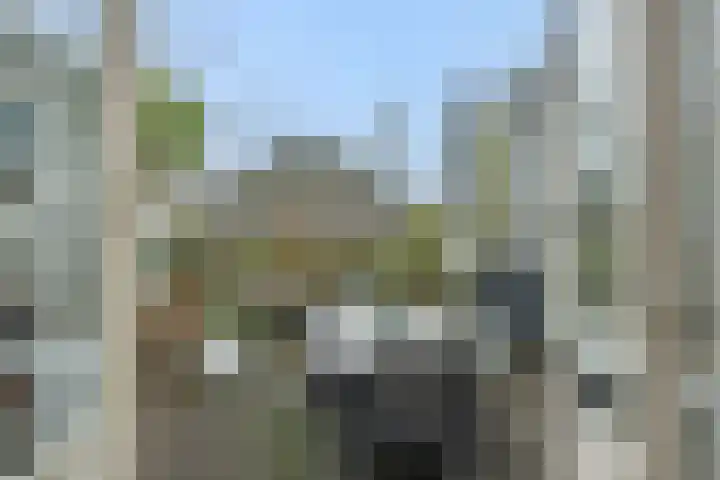 Beurdsestraat 2 's-Hertogenbosch thumbnail 24