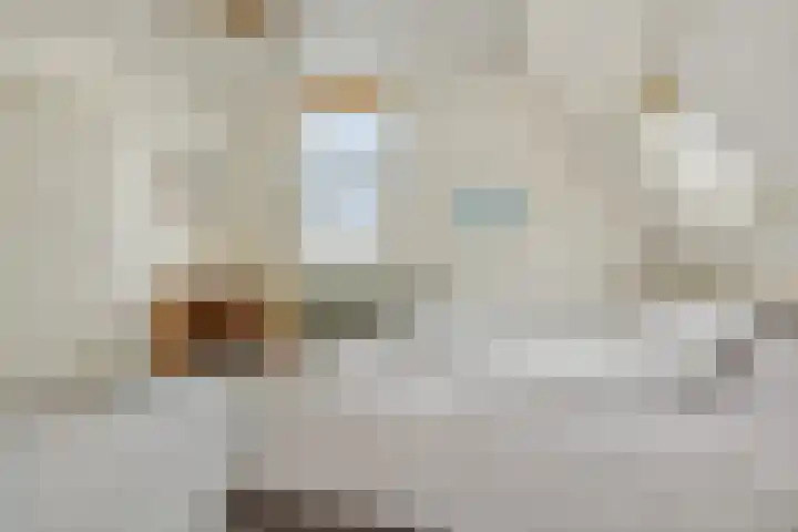 Beurdsestraat 2 's-Hertogenbosch thumbnail 31