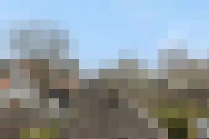 Beurdsestraat 2 's-Hertogenbosch thumbnail 38