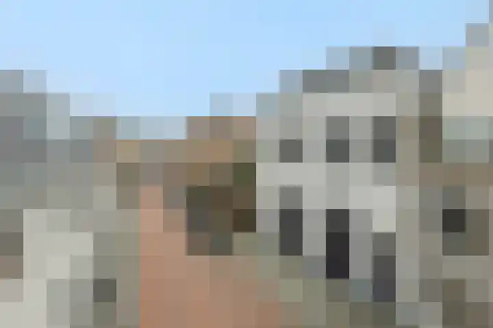 Beurdsestraat 2 's-Hertogenbosch thumbnail 40