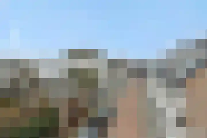 Beurdsestraat 2 's-Hertogenbosch thumbnail 41