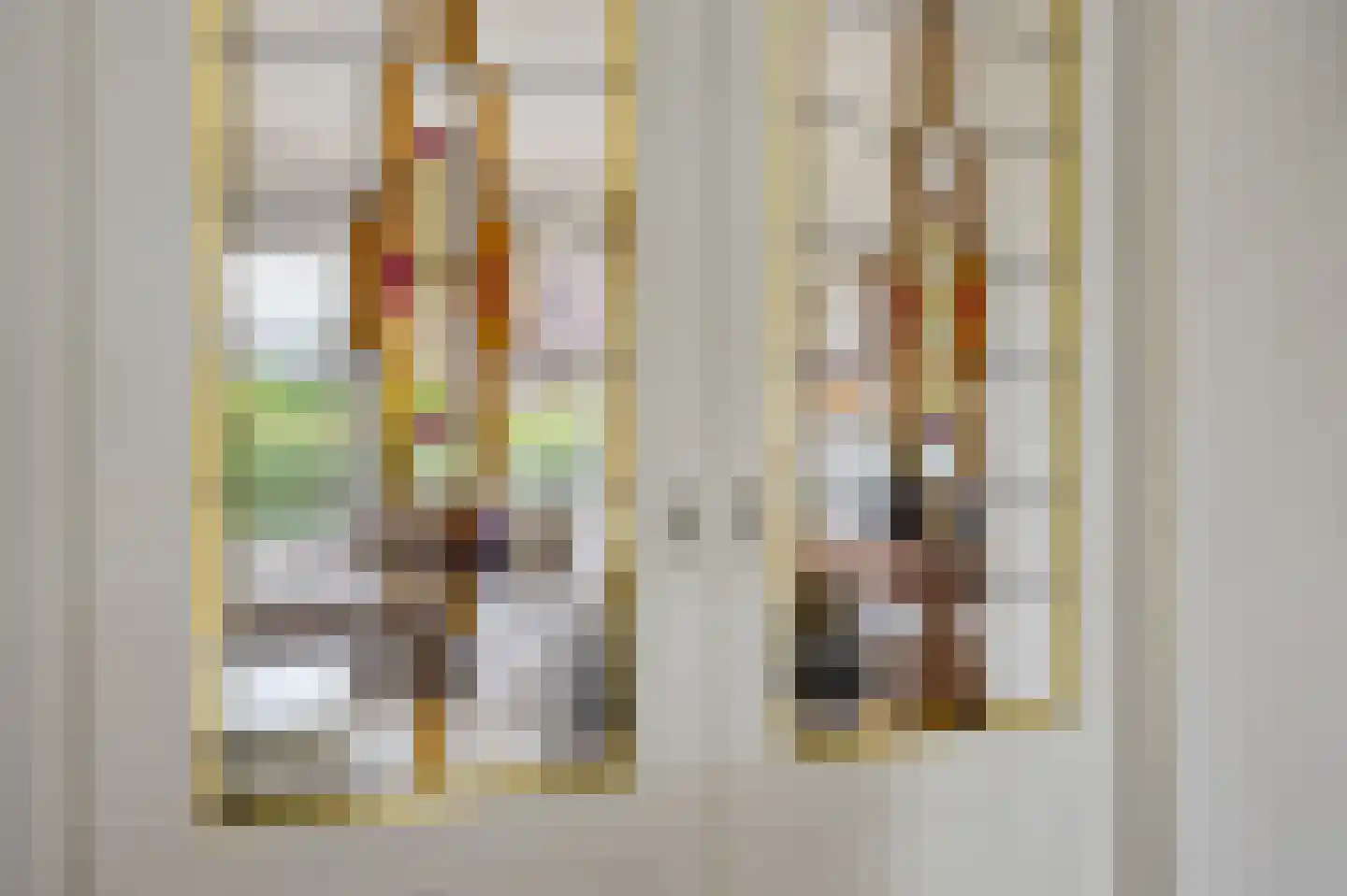 Beurdsestraat 42 's-Hertogenbosch thumbnail 17