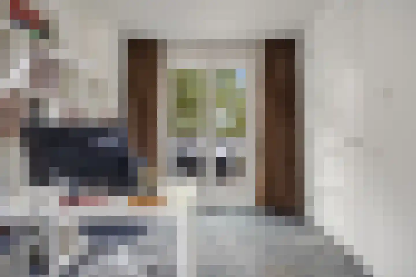 Beurdsestraat 42 's-Hertogenbosch thumbnail 43