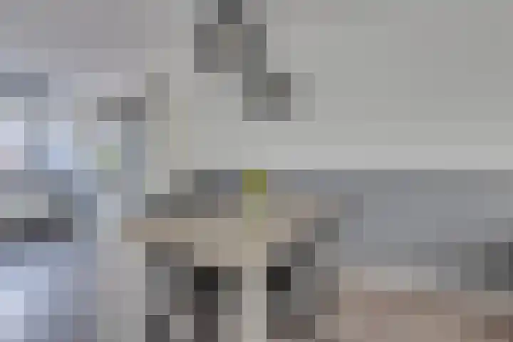 Beurré Hardylaan 4 Wognum thumbnail 15