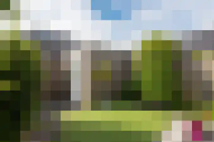Beurré Hardylaan 4 Wognum thumbnail 35