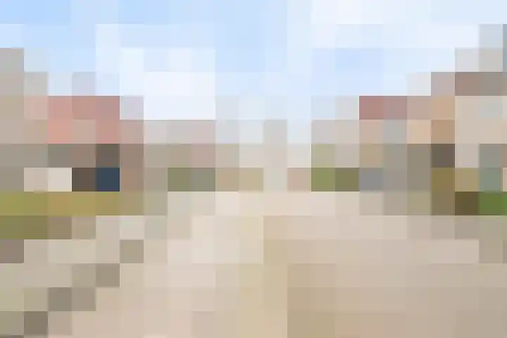 Beursjeskruidstraat 21 Almere thumbnail 26