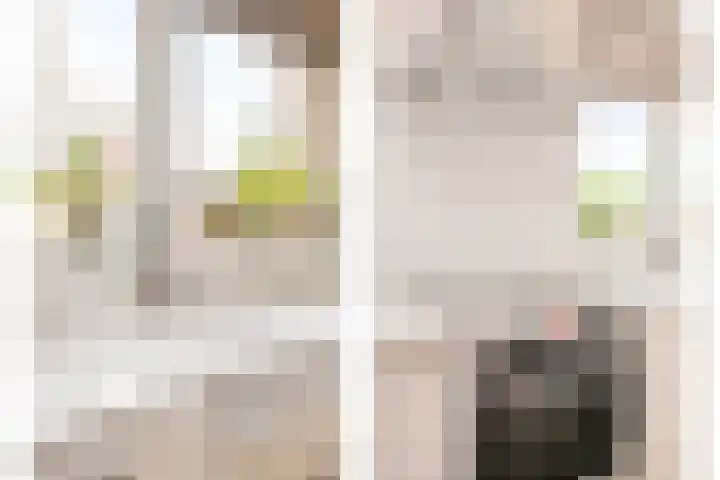 Beursjeskruidstraat 21 Almere thumbnail 8