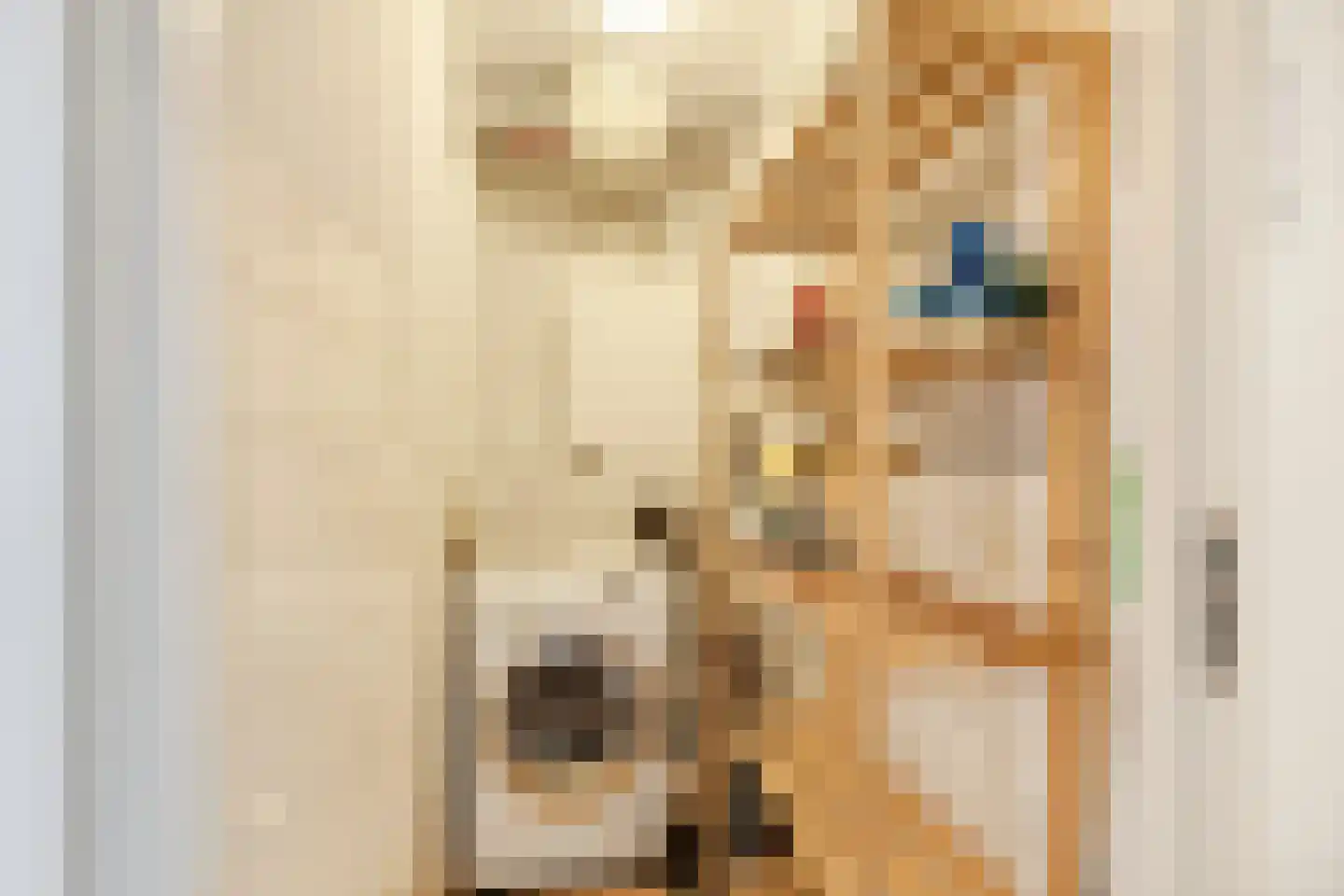Beursstraat 5 Bodegraven thumbnail 36