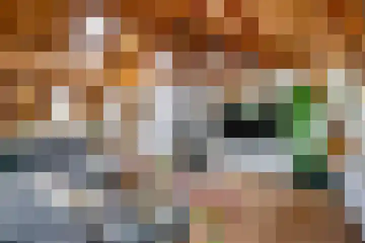 Beursweg 2 Huizen thumbnail 10