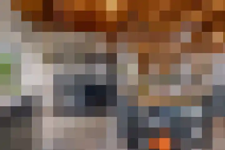 Beursweg 2 Huizen thumbnail 18