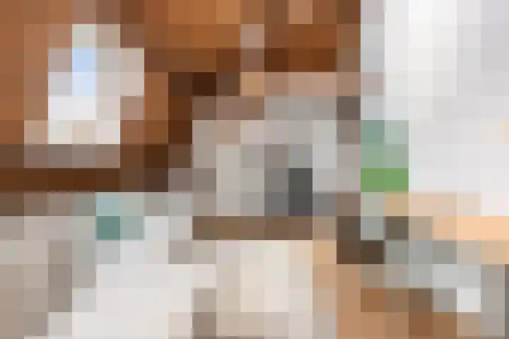 Beursweg 2 Huizen thumbnail 27
