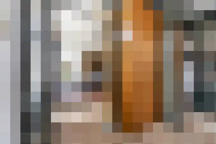 Beursweg 2 Huizen thumbnail 33