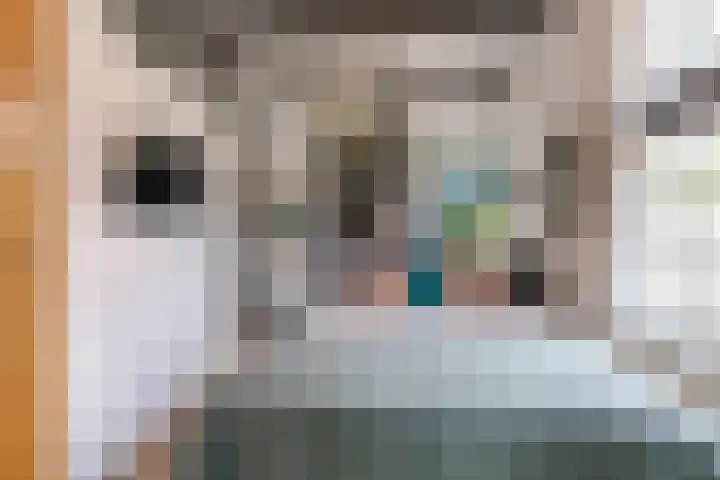 Beursweg 2 Huizen thumbnail 37
