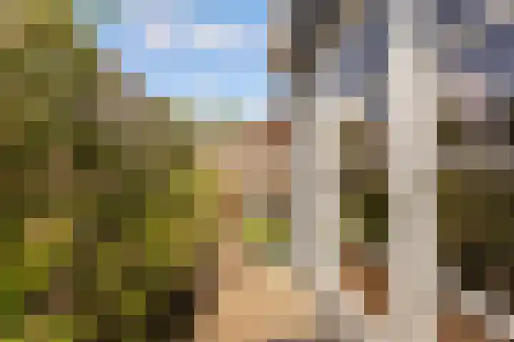 Beursweg 2 Huizen thumbnail 58