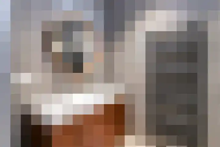 Beursweg 2 Huizen thumbnail 6