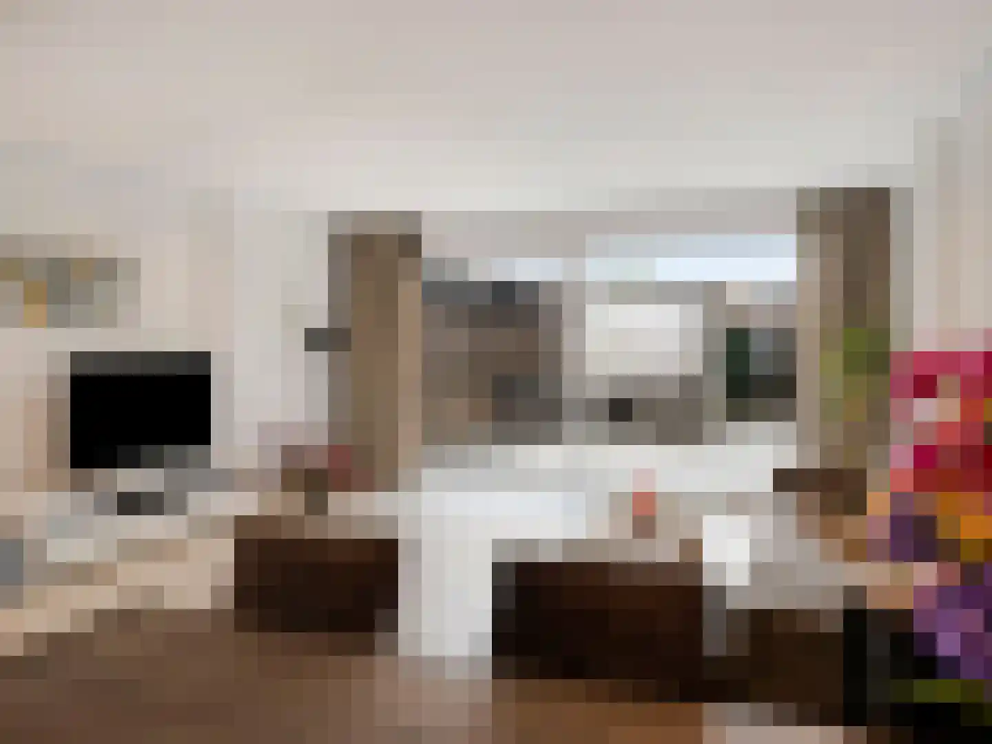 Beurszwam 7 Vleuten thumbnail 16